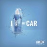 Gyeon Canvas Banner 'I Bathe my car' 100x100